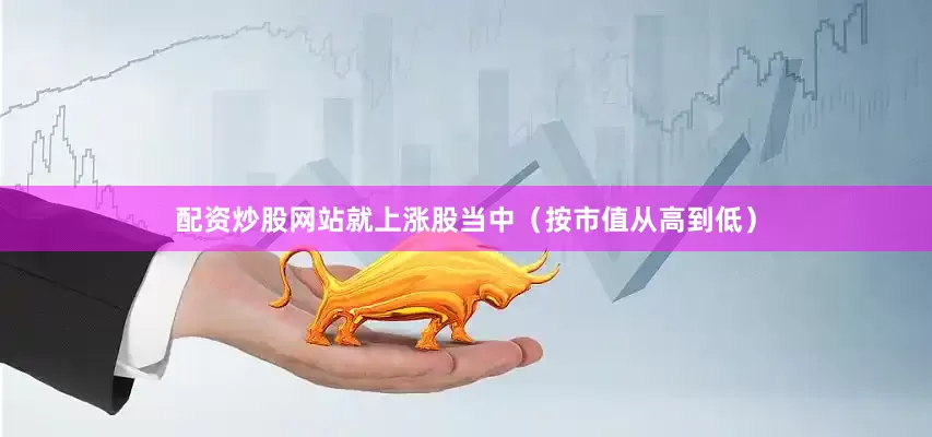 配资炒股网站就　　上涨股当中（按市值从高到低）
