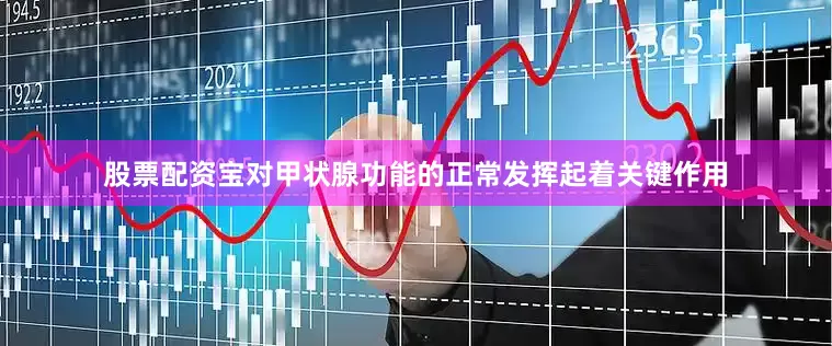 股票配资宝对甲状腺功能的正常发挥起着关键作用