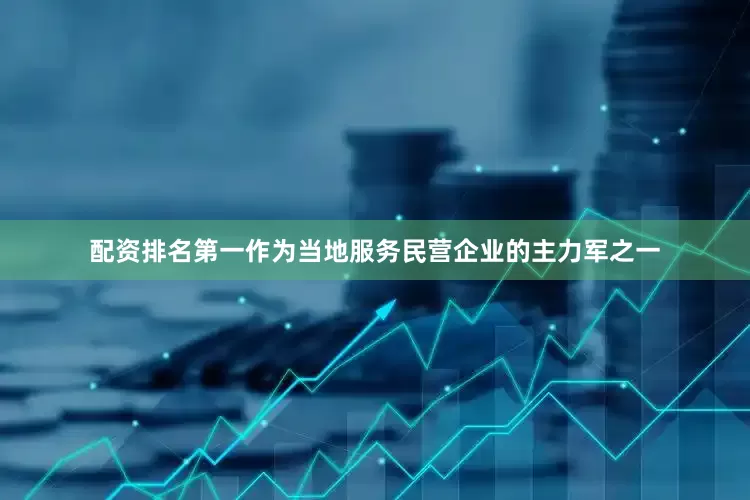 配资排名第一作为当地服务民营企业的主力军之一