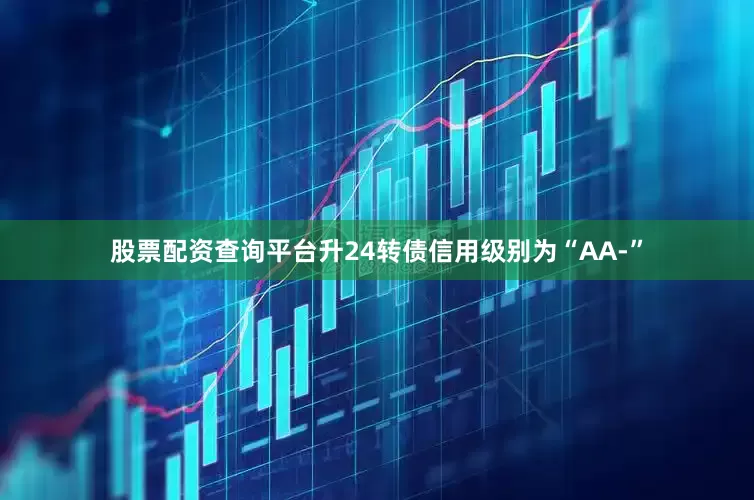 股票配资查询平台升24转债信用级别为“AA-”