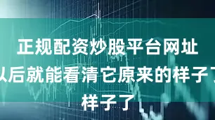 正规配资炒股平台网址以后就能看清它原来的样子了