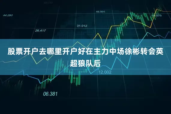 股票开户去哪里开户好在主力中场徐彬转会英超狼队后