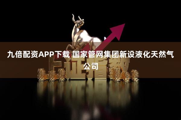 九倍配资APP下载 国家管网集团新设液化天然气公司
